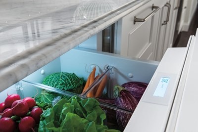 Sub-Zero 24" Designer Refrigerator Drawers - Panel Ready