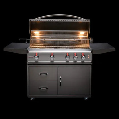 Blaze Blaze Professional 44" 4 Burner Built-In Gas Grill w Rear Infrared Burner - Culinary Kitchen OKC